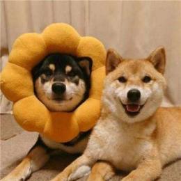 爆笑盘点侠