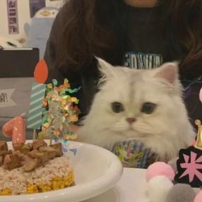 恩鹏说科技