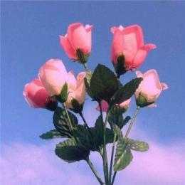 星辰说财经