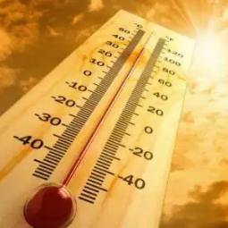 植物神经紊乱知识分享