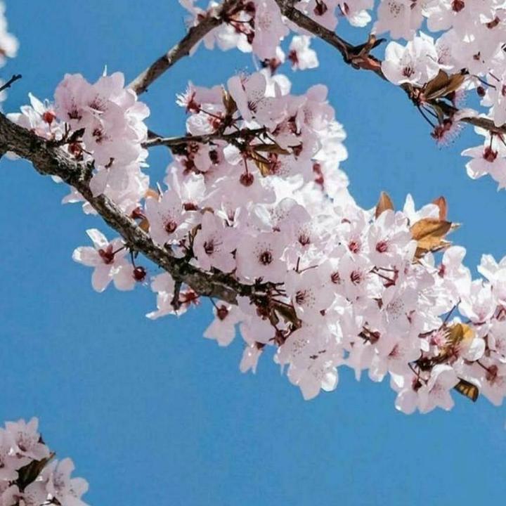 叶之秋和王药石一家人