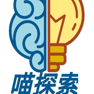 喵探索