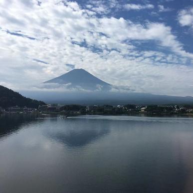 争议解决法律派