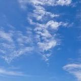 西施的爱恨情仇