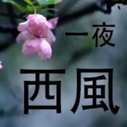 一夜西风