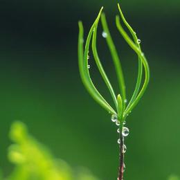 冷眼看世界之蓝