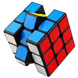 陕西省魔方运动协会