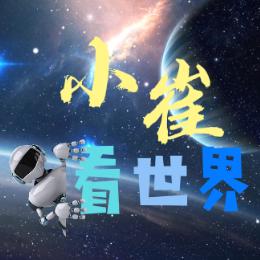 小崔看世界呀