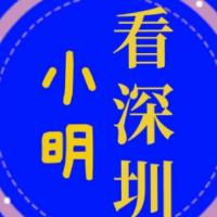 小明看深圳