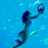 Piscea双鱼张芷郡