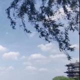 绍兴人绍兴事