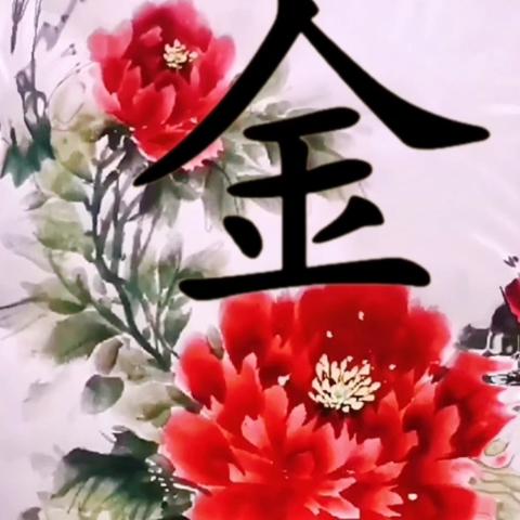 阿金影视