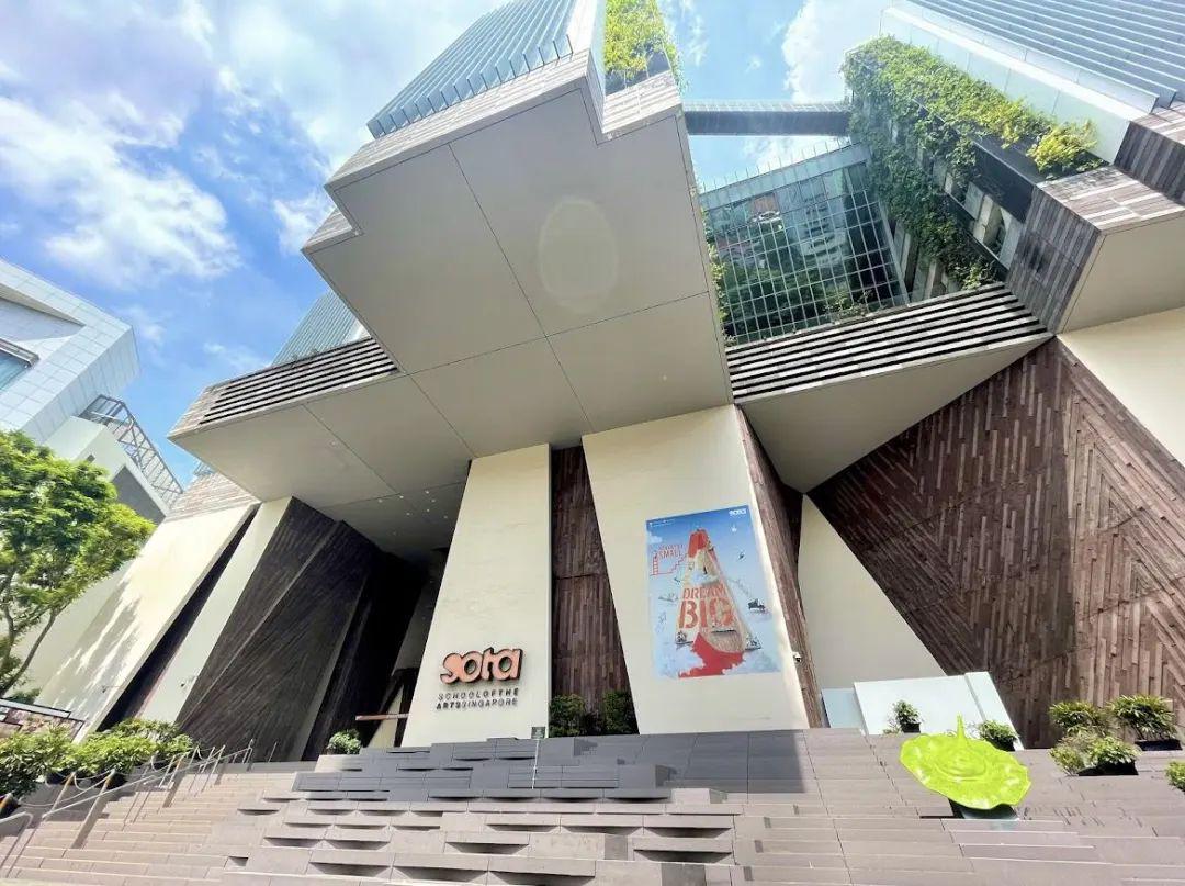 新加坡艺术学院是由新加坡资讯,通讯暨艺术部于2004年所发起,旨在