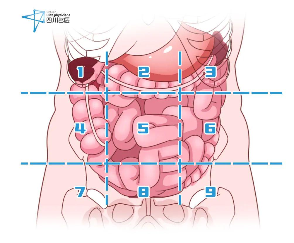 第一排 上腹部疼痛1号区域 左上腹左上腹的疼痛主要是胰腺的病变