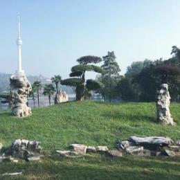 一路上风景独好