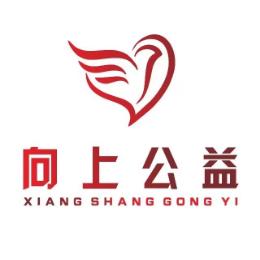 向上公益