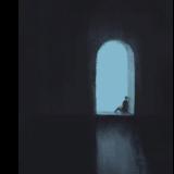 虞乐仲