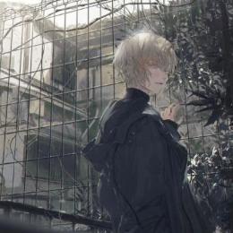 小象看世界
