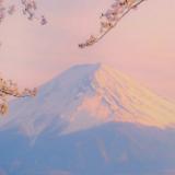 西西讲明星同款穿搭