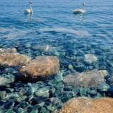 小刺赶海日记