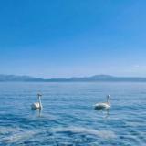 小琴的快乐之旅