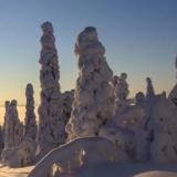 张姐的影视剪辑