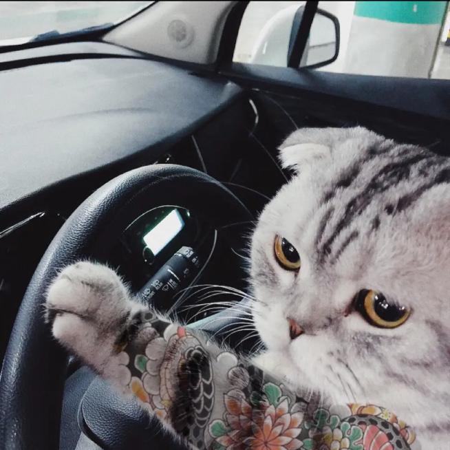 谈谈的乡野生活