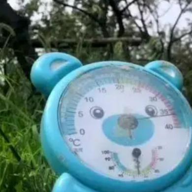 八点五十九