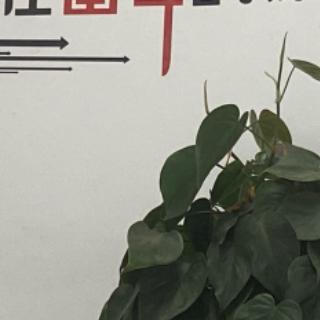 生活无限美好呀