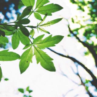 思想之光冲冲冲冲