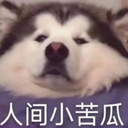 苦瓜老徐
