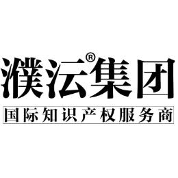 濮云知识产权集团