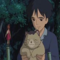 木小囚