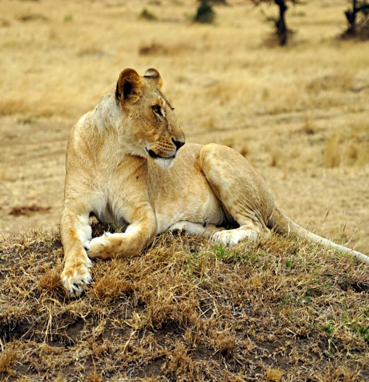 沧海横流论当代