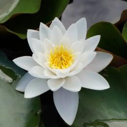 轻松生活美好人生