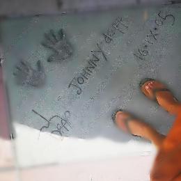 移民老狗王翠花