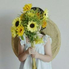 公基知识分享学姐清月