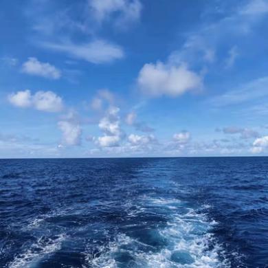 热爱海洋的孩子们