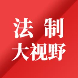 法制大视野
