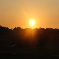 今天太阳这么大