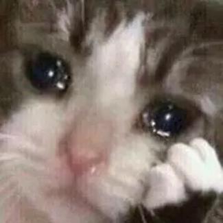 雨瘾者