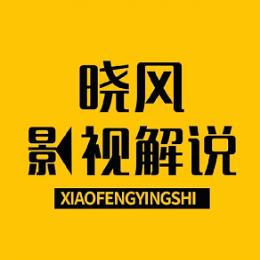 晓风影视解说