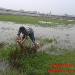 文学铸就人生
