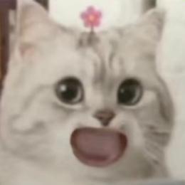 江江是咸鱼