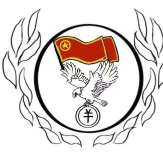 飞跃鹰隼实践队2