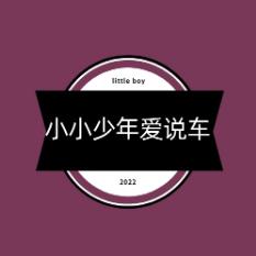 小小少年爱说车