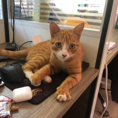 我有一头小驴驴Vlog