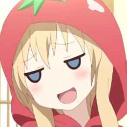 西红柿牛腩煲番QIE