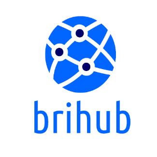 Brihub海外情报