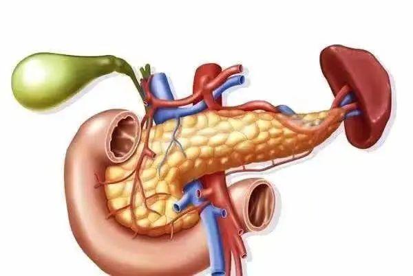 抠喉催吐会引发急性胰腺炎?